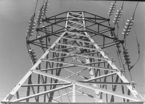 Carga Fomapan 400 24 exposiciones Blanco y negro Fresca - Imagen 2