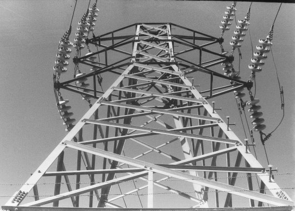 Carga Fomapan 400 24 exposiciones Blanco y negro Fresca - Imagen 2